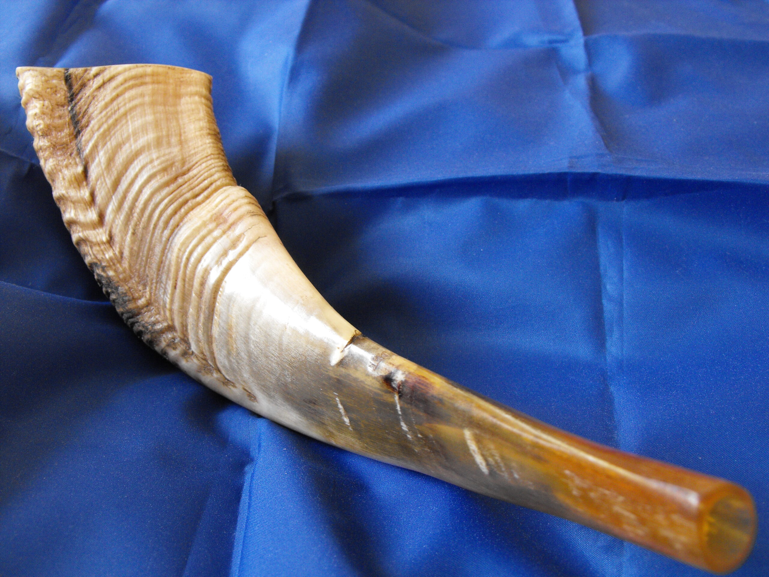shofar